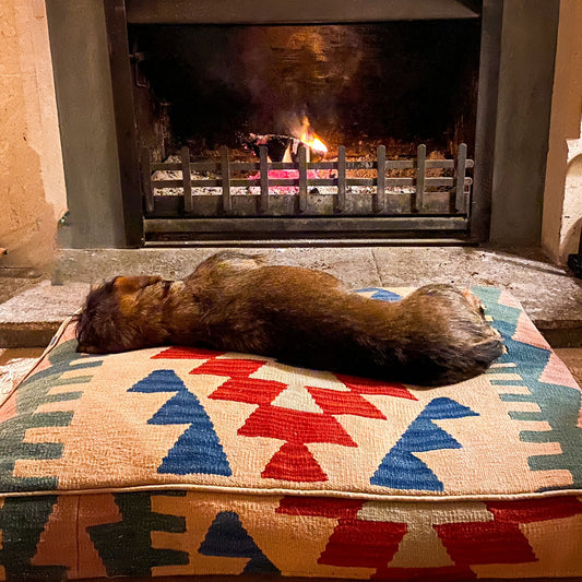 Kilim Dog Bed